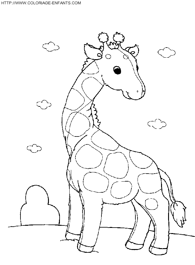 coloriage girafes