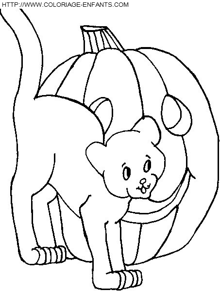 coloriage citrouilles halloween