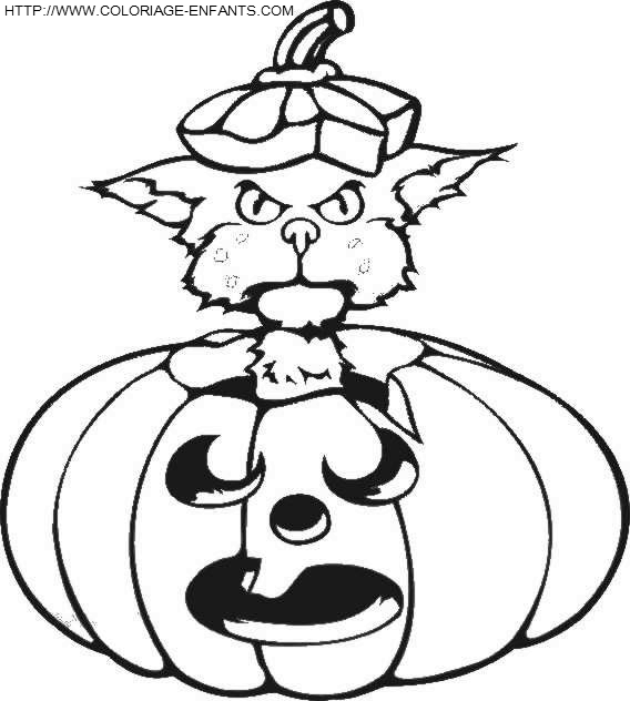 coloriage citrouilles halloween