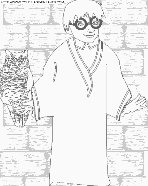 coloriage harry potter et le hibou