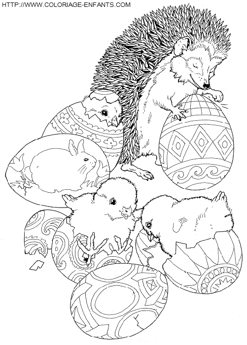 coloriage herissons