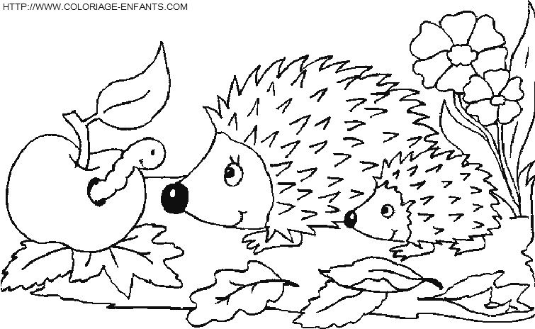 coloriage herissons