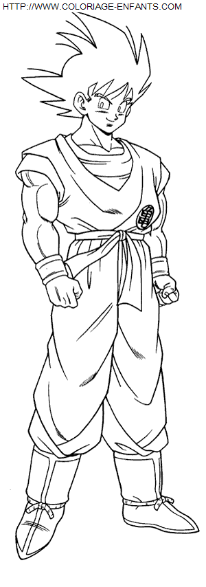 coloriage Heros Dragon Ball