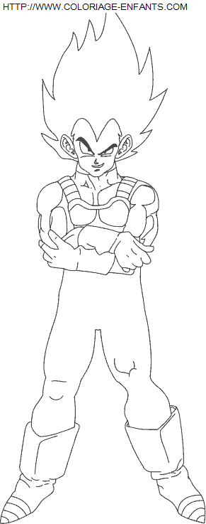 coloriage Heros Dragon Ball