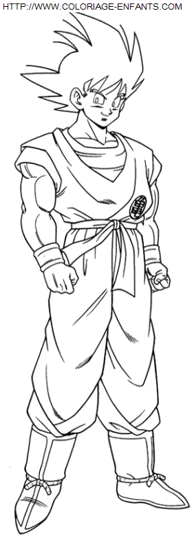 coloriage Heros Dragon Ball