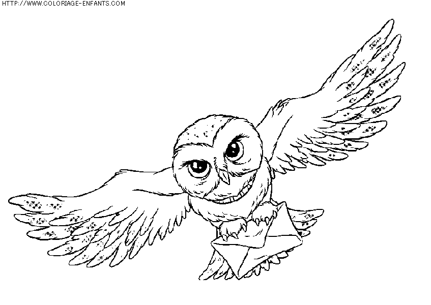 coloriage heros harry potter