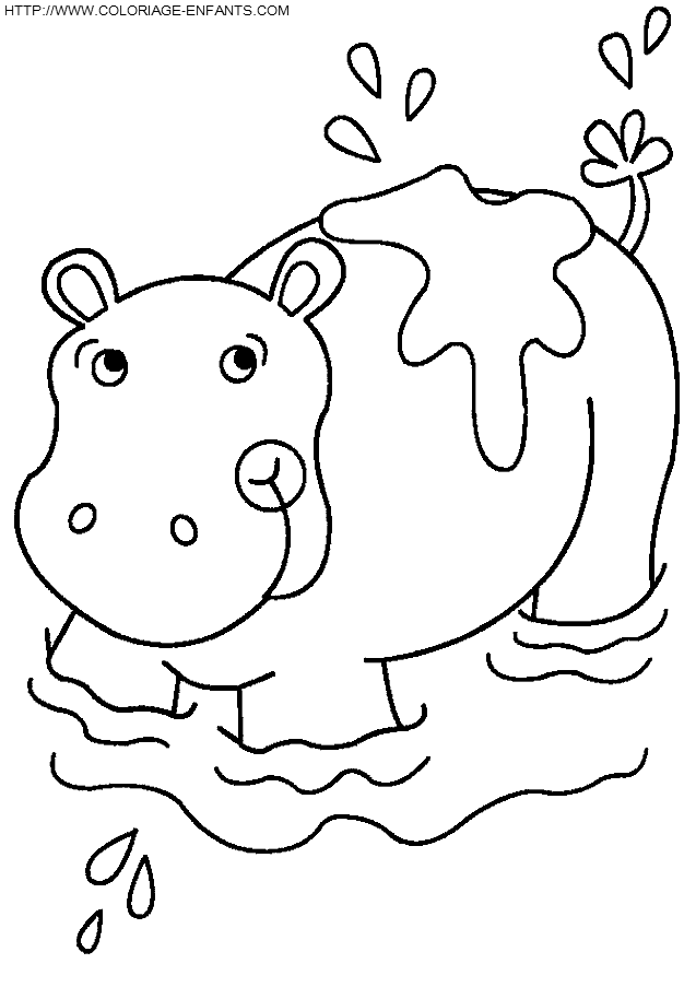 coloriage hippopotames