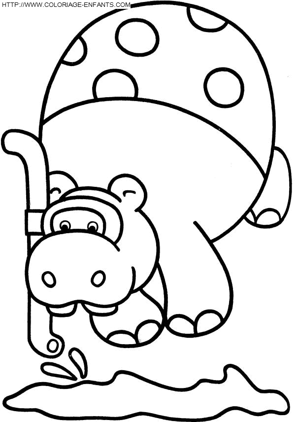 coloriage hippopotames