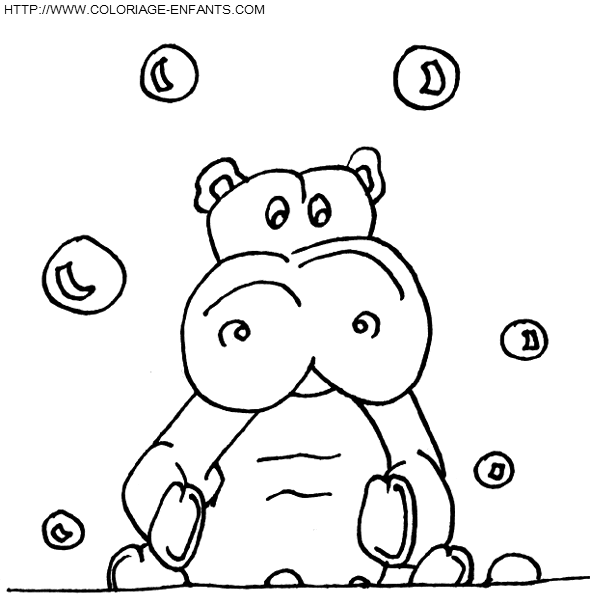 coloriage hippopotames