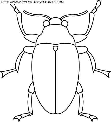 coloriage insectes