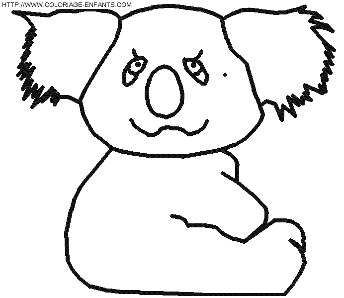 coloriage koalas