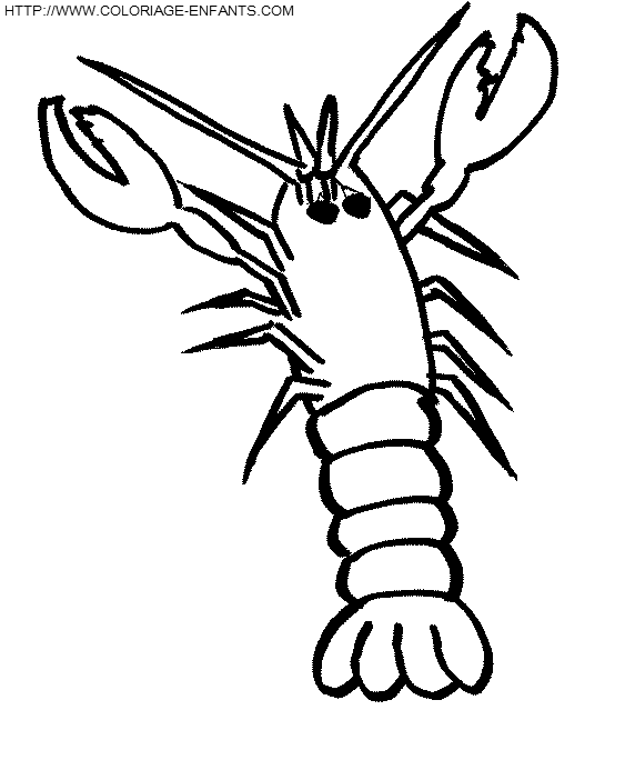 coloriage langoustes