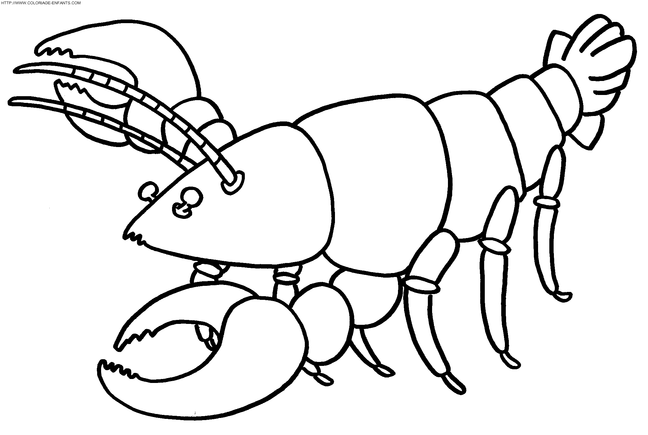 coloriage langoustes