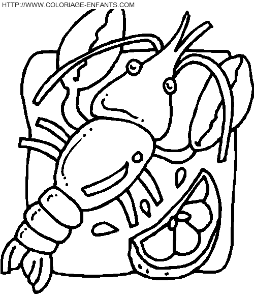 coloriage langoustes