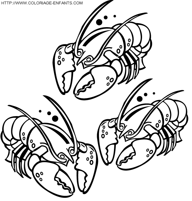 coloriage langoustes