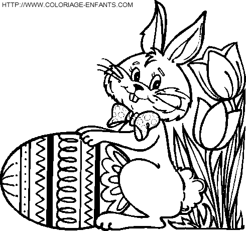 coloriage lapins