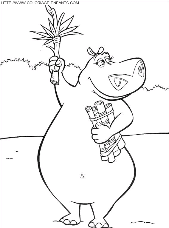 coloriage madagascar hippopotame gloria