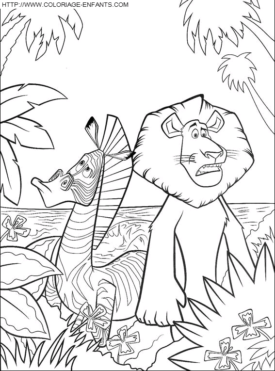 coloriage madagascar lion alex zebre marty