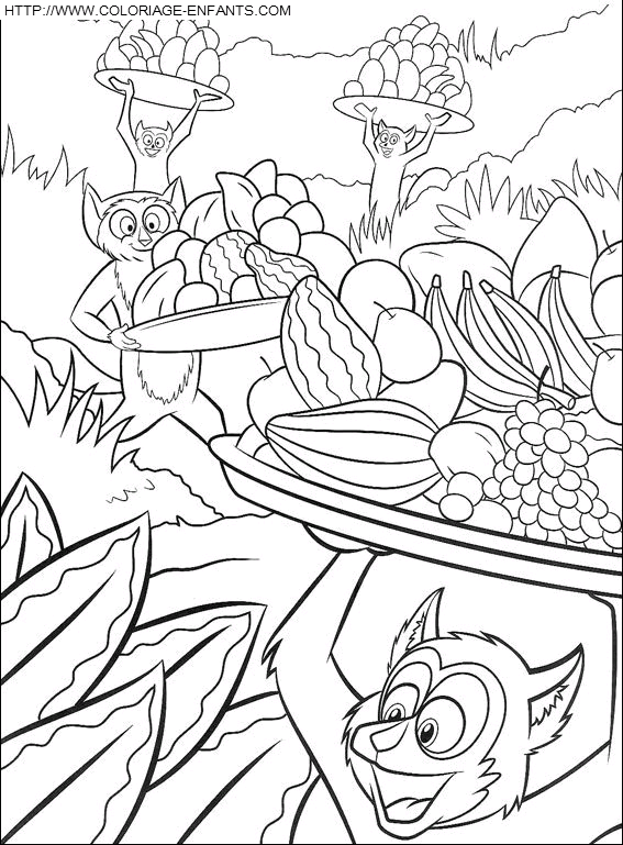 coloriage madagascar marsupiaux