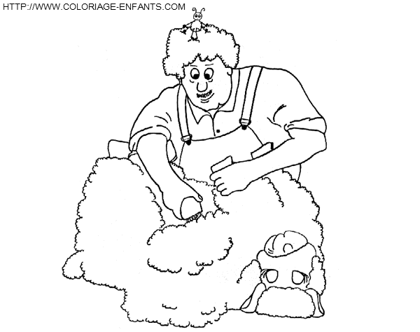 coloriage moutons