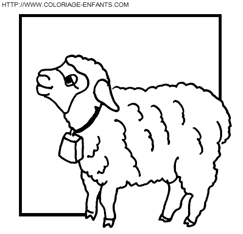 coloriage moutons