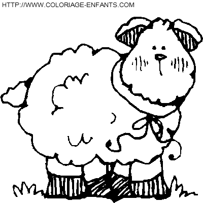 coloriage moutons