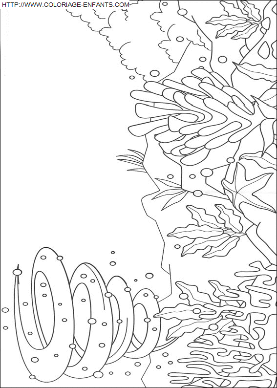 coloriage Nature Arc En Ciel