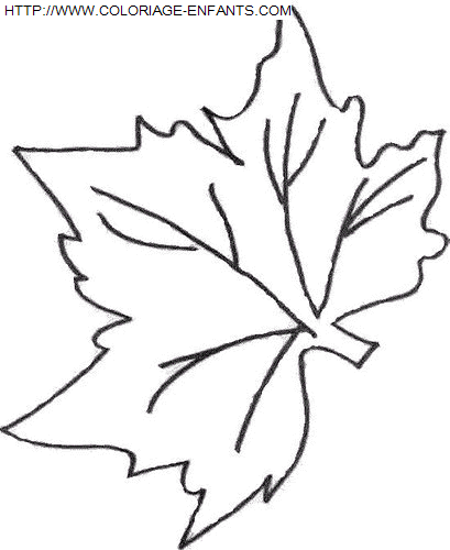 coloriage Nature Feuilles