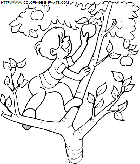 coloriage Nature Vacances