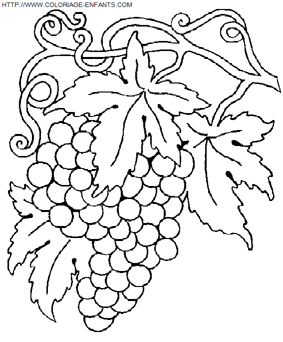 coloriage Nature Vendanges