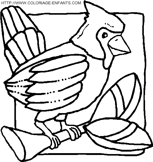 coloriage oiseaux