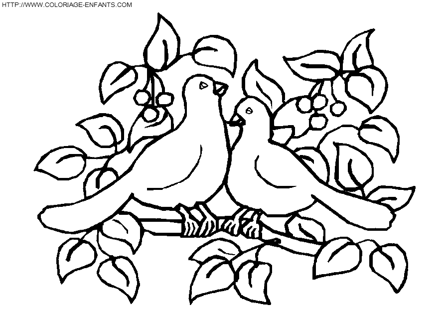 coloriage oiseaux