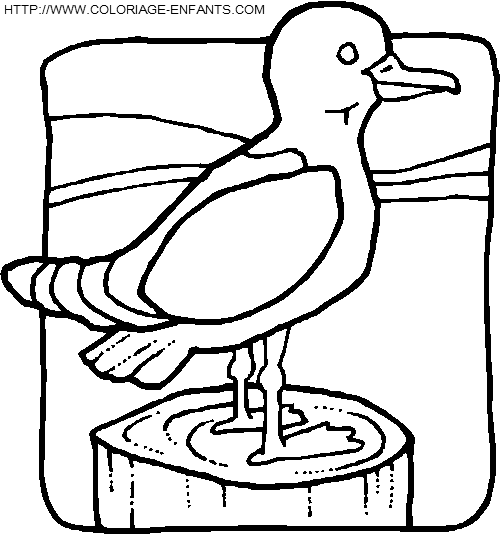 coloriage oiseaux