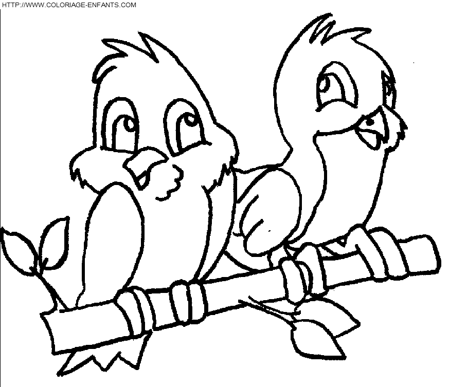 coloriage oiseaux