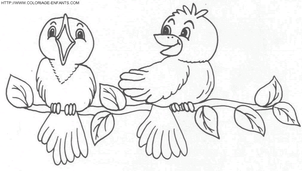 coloriage oiseaux