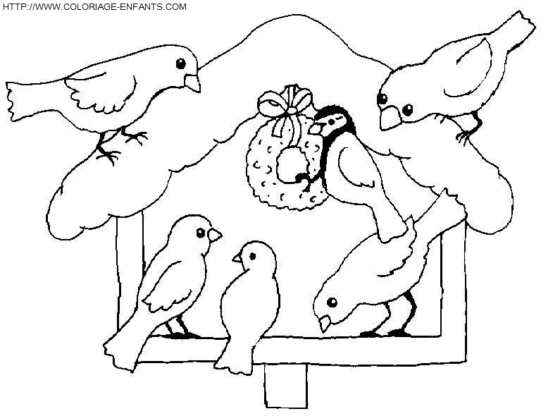 coloriage oiseaux