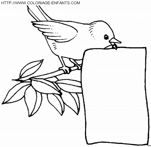 coloriage oiseaux