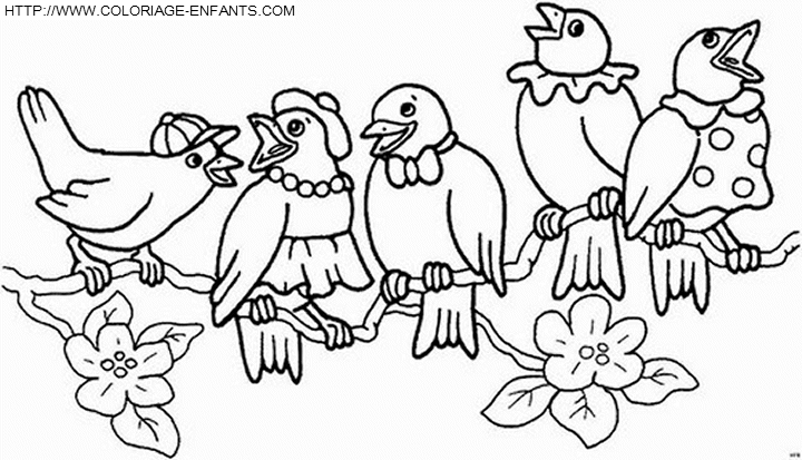 coloriage oiseaux