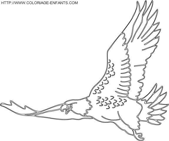 coloriage oiseaux