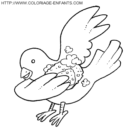 coloriage oiseaux