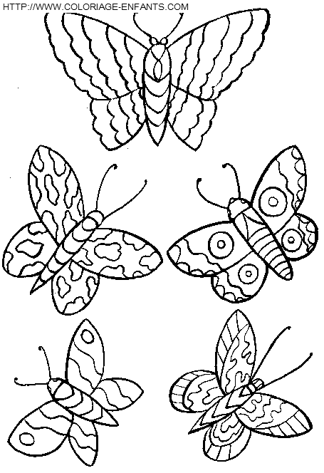 coloriage papillons