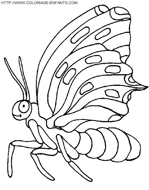 coloriage papillons