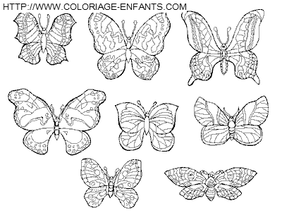 coloriage papillons