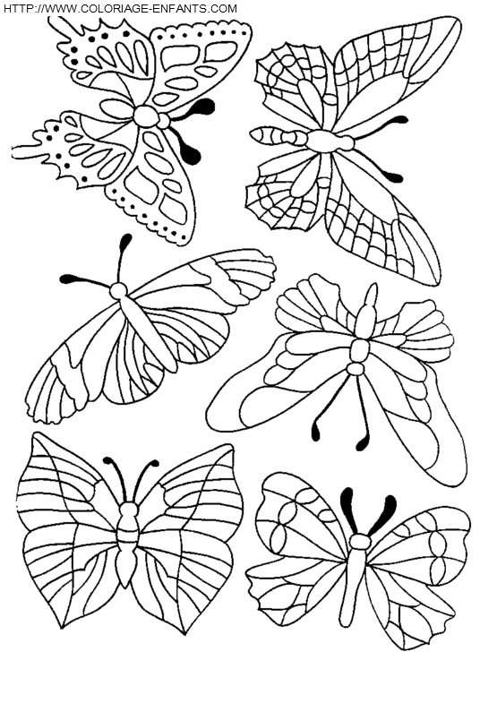 coloriage papillons