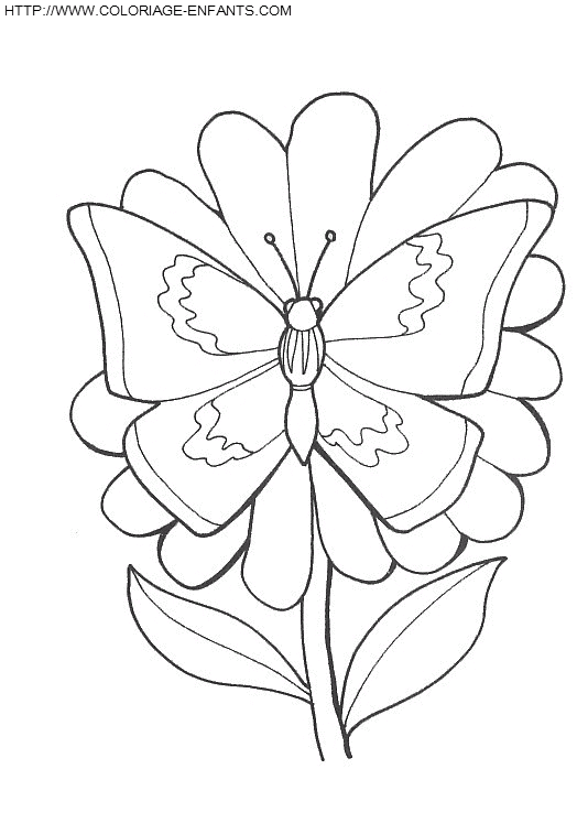 coloriage papillons