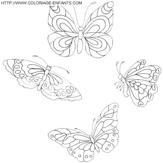 coloriage papillons