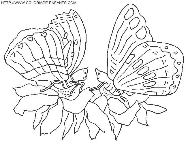 coloriage papillons