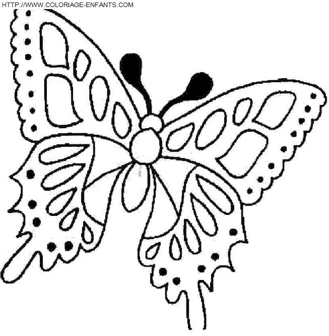 coloriage papillons