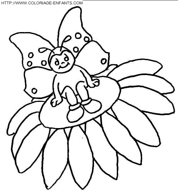 coloriage papillons