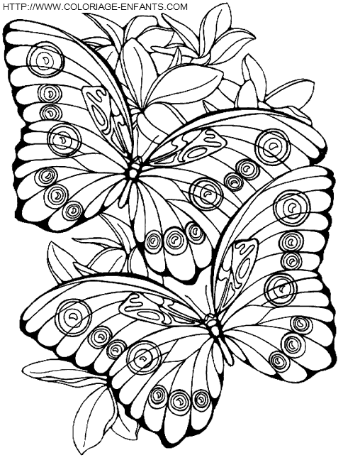 coloriage papillons